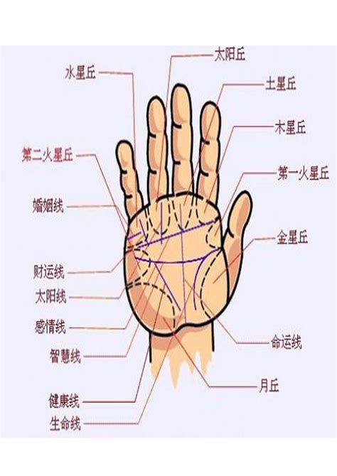 手相面相